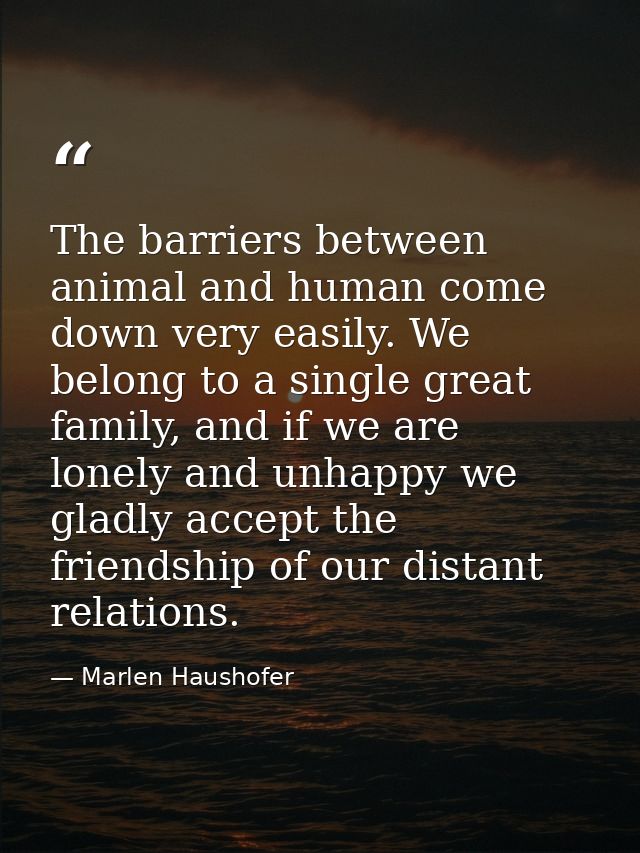 The barriers between animal and human come down very easily. We belong to a single great family, and if we are lonely an — Marlen Haushofer