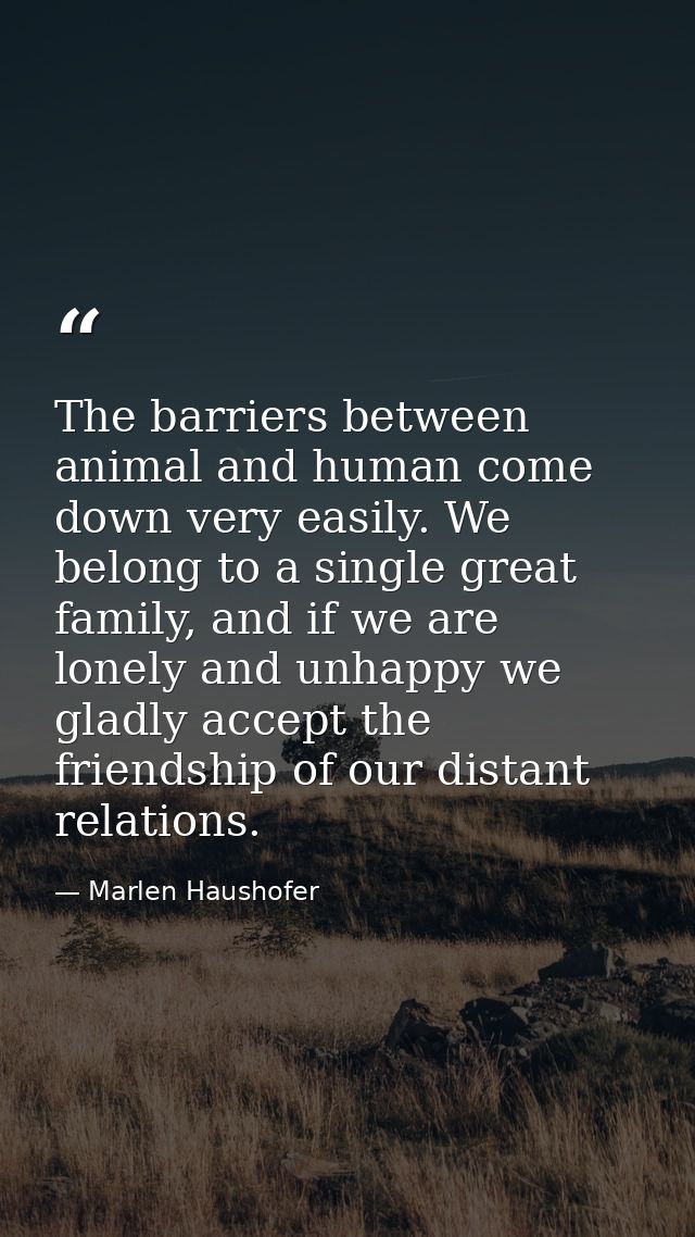 The barriers between animal and human come down very easily. We belong to a single great family, and if we are lonely an — Marlen Haushofer