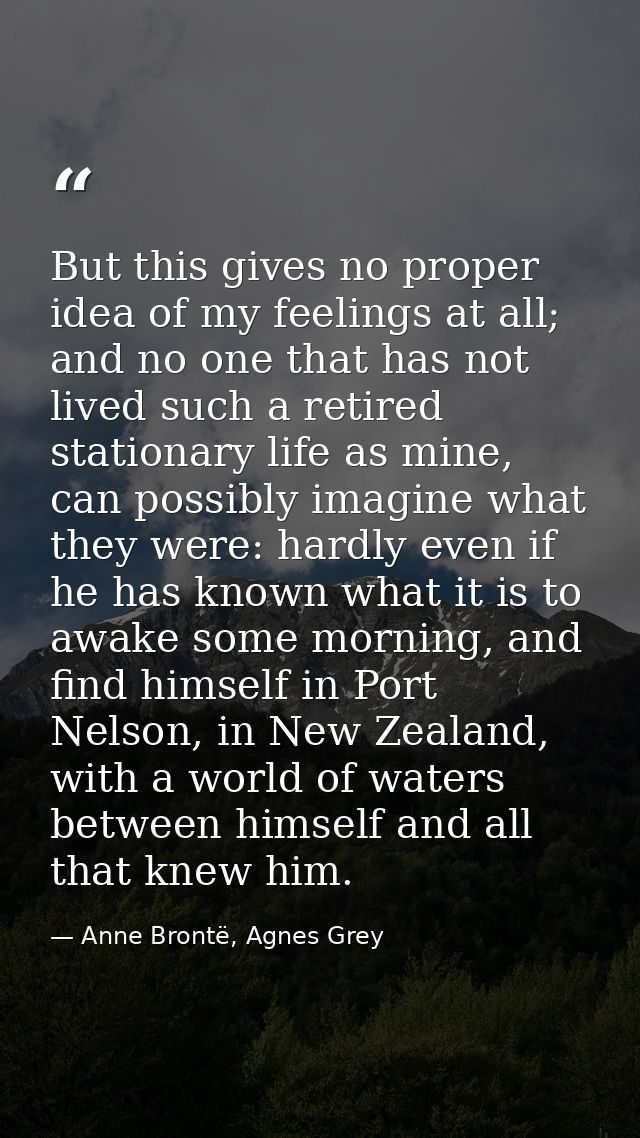 But this gives no proper idea of my feelings at all; and no one that has not lived such a retired stationary life as min — Anne Brontë, Agnes Grey