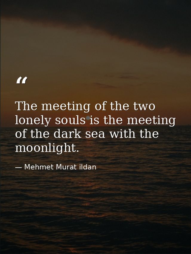 The meeting of the two lonely souls is the meeting of the dark sea with the moonlight. — Mehmet Murat ildan