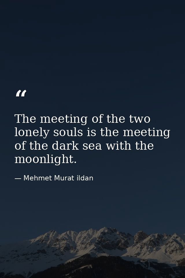 The meeting of the two lonely souls is the meeting of the dark sea with the moonlight. — Mehmet Murat ildan