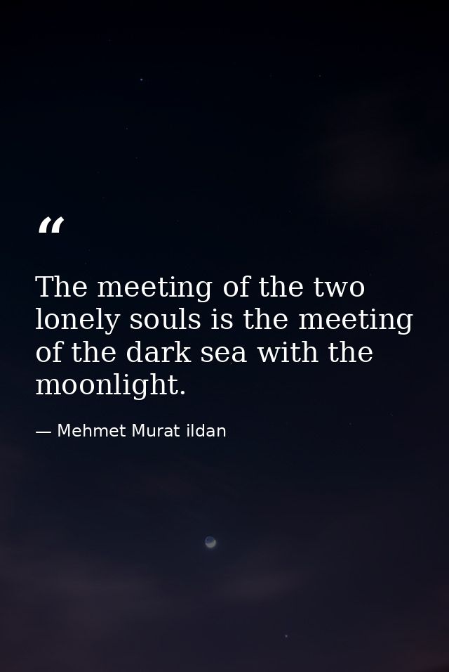 The meeting of the two lonely souls is the meeting of the dark sea with the moonlight. — Mehmet Murat ildan