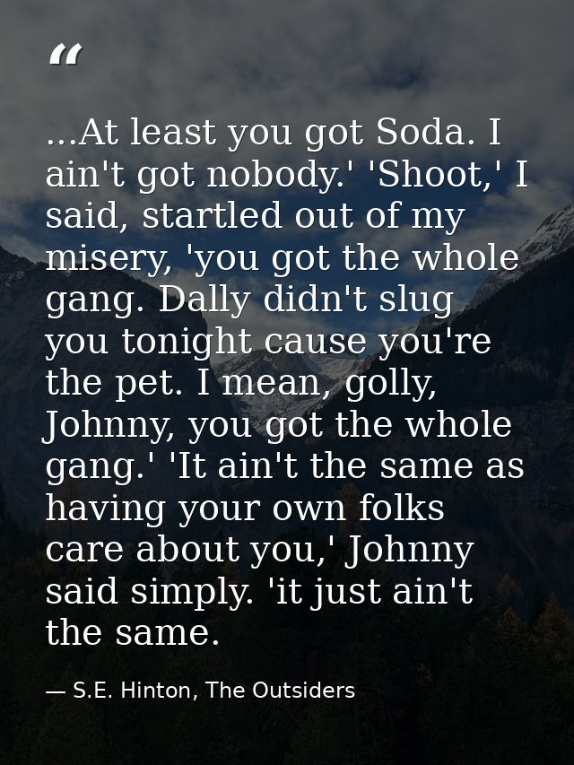 ...At least you got Soda. I ain't got nobody.' 'Shoot,' I said, startled out of my misery, 'you got the whole gang. Dall — S.E. Hinton, The Outsiders