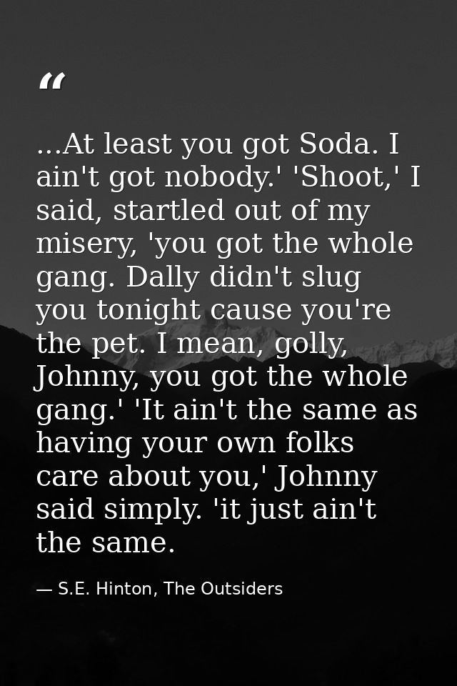 ...At least you got Soda. I ain't got nobody.' 'Shoot,' I said, startled out of my misery, 'you got the whole gang. Dall — S.E. Hinton, The Outsiders