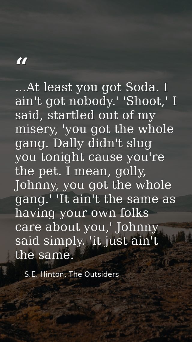 ...At least you got Soda. I ain't got nobody.' 'Shoot,' I said, startled out of my misery, 'you got the whole gang. Dall — S.E. Hinton, The Outsiders