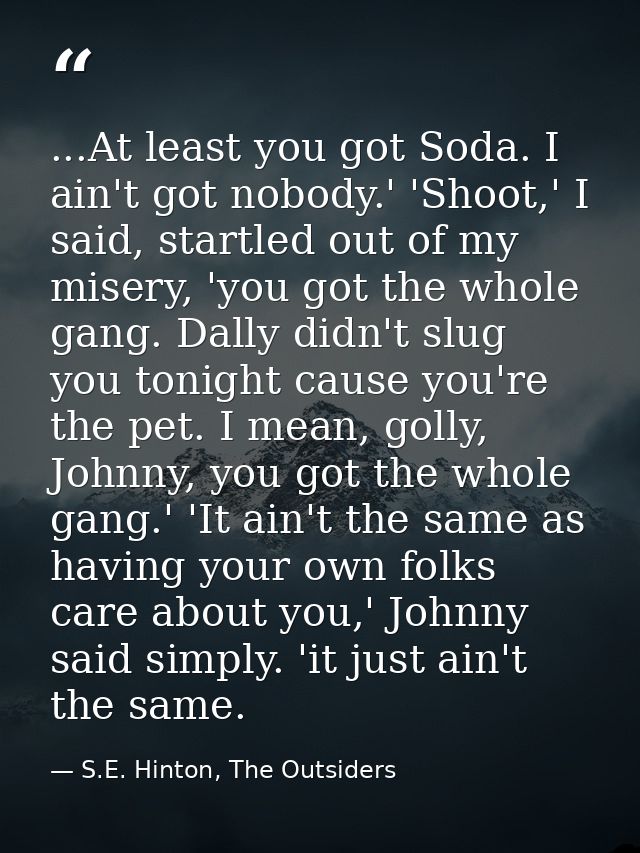 ...At least you got Soda. I ain't got nobody.' 'Shoot,' I said, startled out of my misery, 'you got the whole gang. Dall — S.E. Hinton, The Outsiders