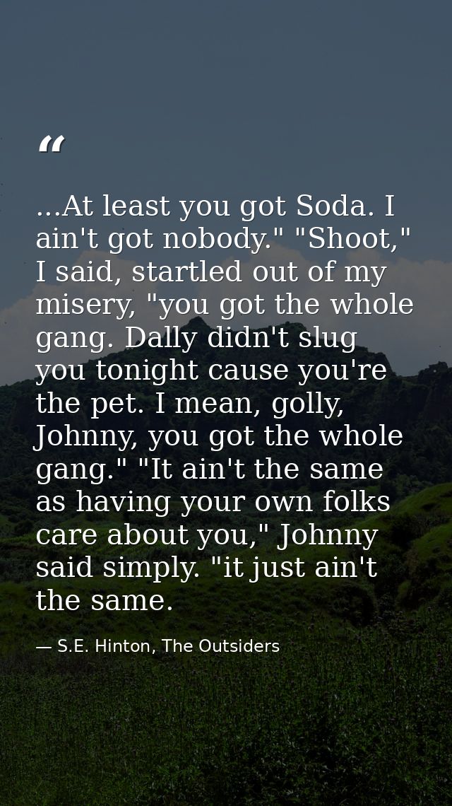 ...At least you got Soda. I ain't got nobody." "Shoot," I said, startled out of my misery, "you got the whole gang. Dall — S.E. Hinton, The Outsiders