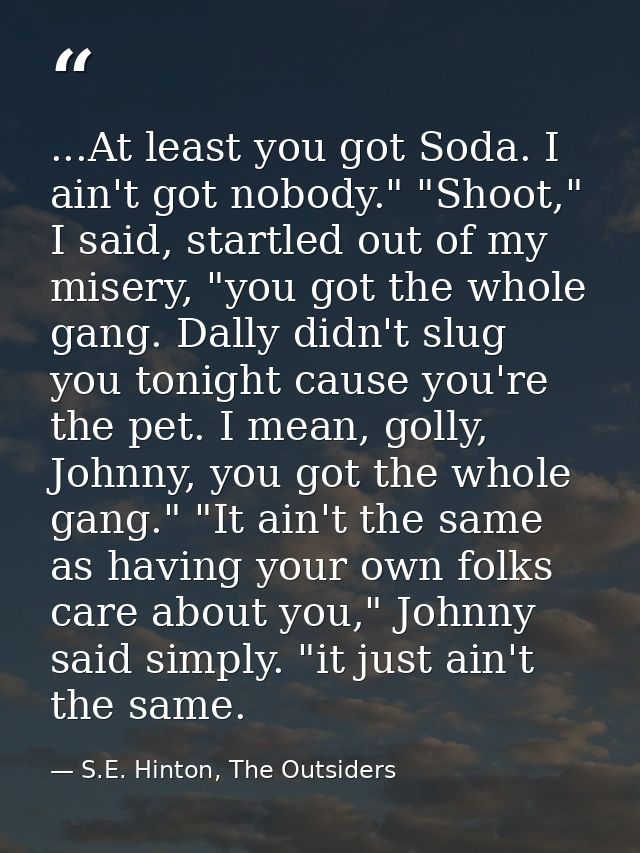 ...At least you got Soda. I ain't got nobody." "Shoot," I said, startled out of my misery, "you got the whole gang. Dall — S.E. Hinton, The Outsiders