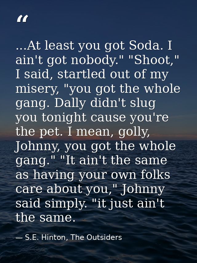 ...At least you got Soda. I ain't got nobody." "Shoot," I said, startled out of my misery, "you got the whole gang. Dall — S.E. Hinton, The Outsiders