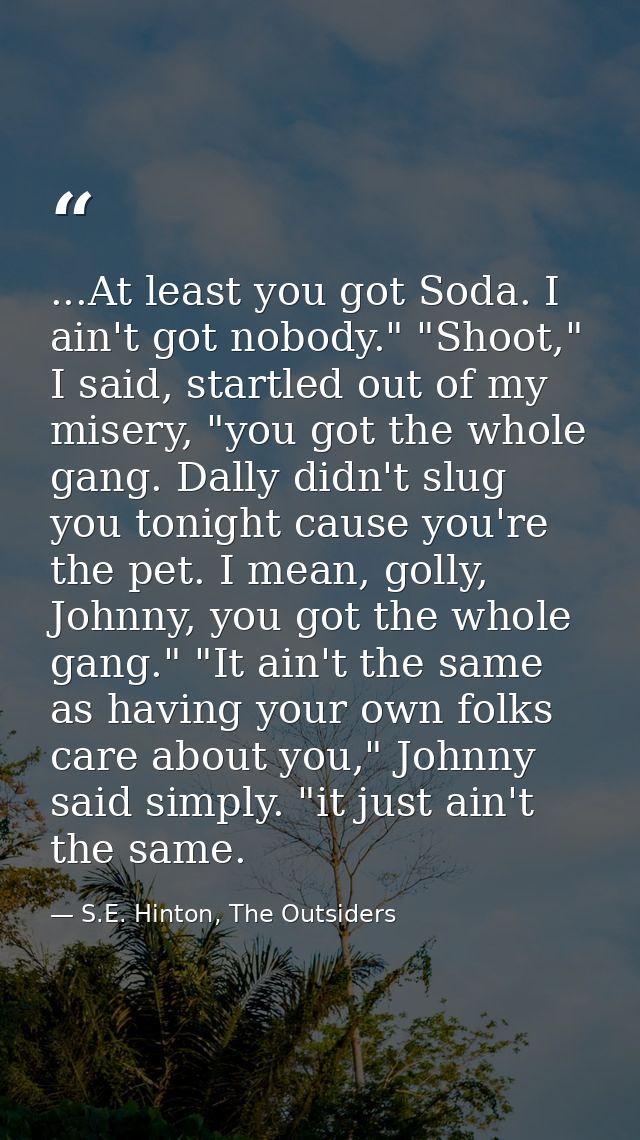 ...At least you got Soda. I ain't got nobody." "Shoot," I said, startled out of my misery, "you got the whole gang. Dall — S.E. Hinton, The Outsiders