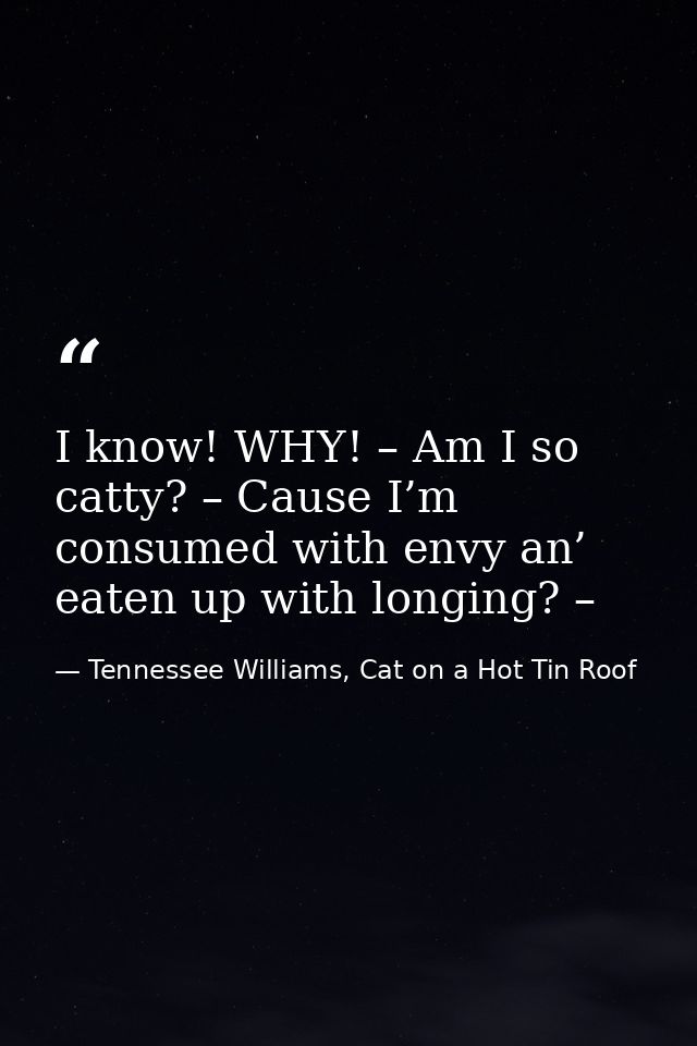 I know! WHY! – Am I so catty? – Cause I’m consumed with envy an’ eaten up with longing? – — Tennessee Williams, Cat on a Hot Tin Roof