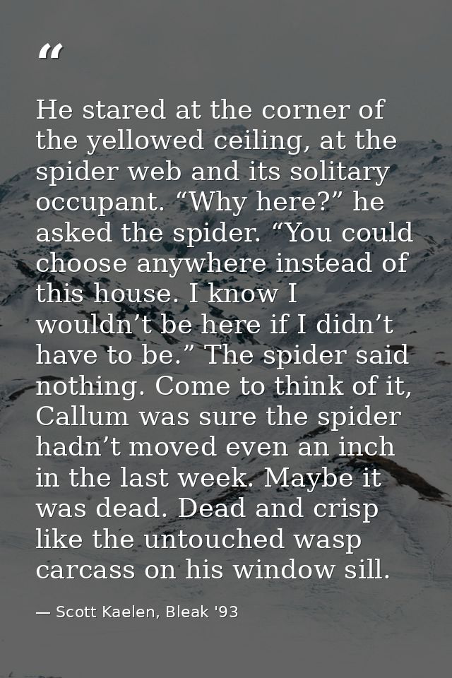 He stared at the corner of the yellowed ceiling, at the spider web and its solitary occupant. “Why here?” he asked the s — Scott Kaelen, Bleak '93