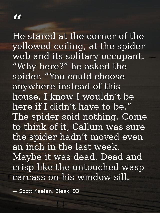 He stared at the corner of the yellowed ceiling, at the spider web and its solitary occupant. “Why here?” he asked the s — Scott Kaelen, Bleak '93