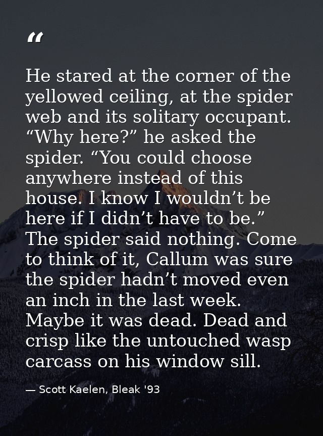 He stared at the corner of the yellowed ceiling, at the spider web and its solitary occupant. “Why here?” he asked the s — Scott Kaelen, Bleak '93