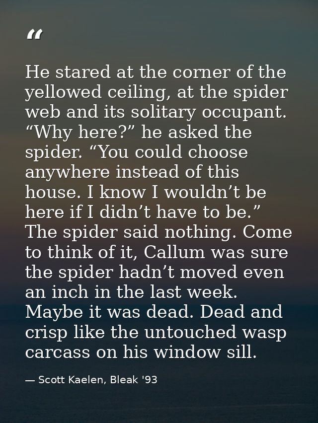 He stared at the corner of the yellowed ceiling, at the spider web and its solitary occupant. “Why here?” he asked the s — Scott Kaelen, Bleak '93