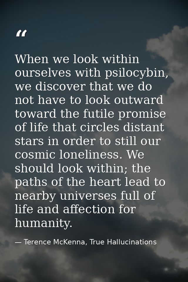 When we look within ourselves with psilocybin, we discover that we do not have to look outward toward the futile promise — Terence McKenna, True Hallucinations