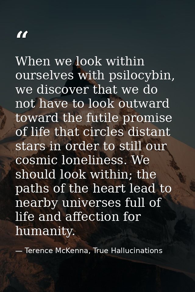When we look within ourselves with psilocybin, we discover that we do not have to look outward toward the futile promise — Terence McKenna, True Hallucinations