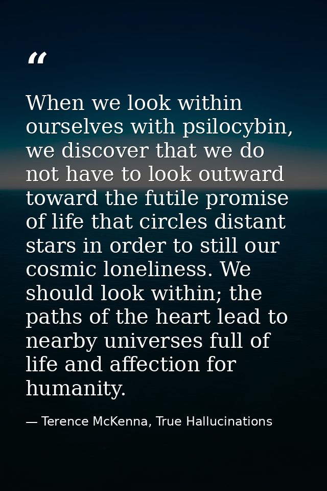When we look within ourselves with psilocybin, we discover that we do not have to look outward toward the futile promise — Terence McKenna, True Hallucinations