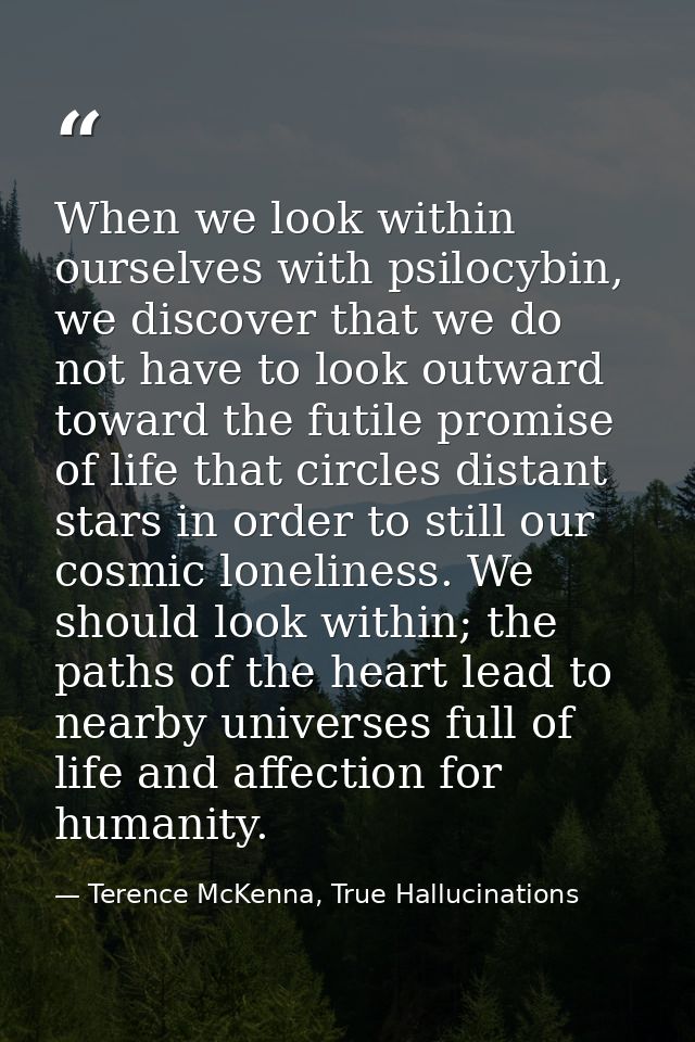 When we look within ourselves with psilocybin, we discover that we do not have to look outward toward the futile promise — Terence McKenna, True Hallucinations
