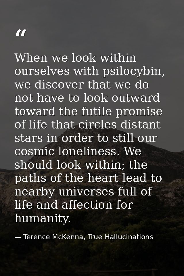 When we look within ourselves with psilocybin, we discover that we do not have to look outward toward the futile promise — Terence McKenna, True Hallucinations