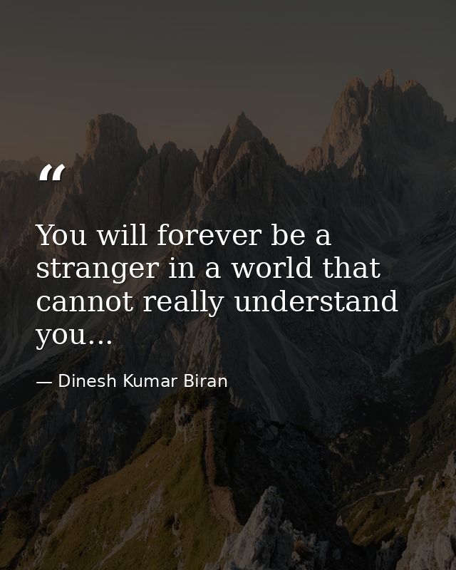 You will forever be a stranger in a world that cannot really understand you... — Dinesh Kumar Biran