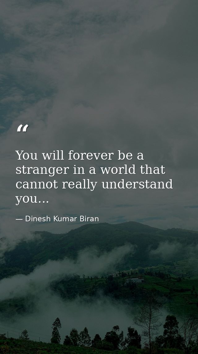 You will forever be a stranger in a world that cannot really understand you... — Dinesh Kumar Biran