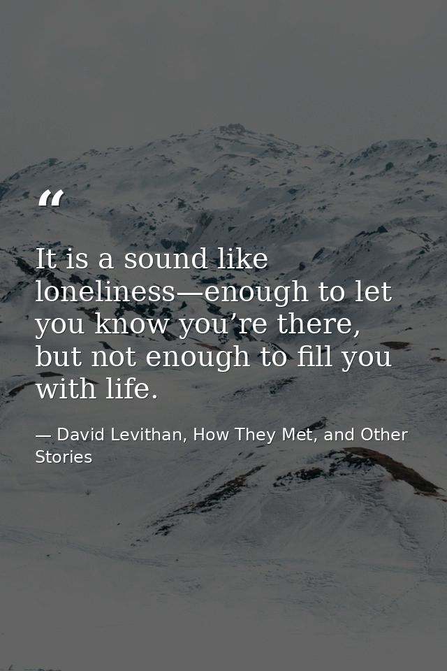 It is a sound like loneliness—enough to let you know you’re there, but not enough to fill you with life. — David Levithan, How They Met, and Other Stories
