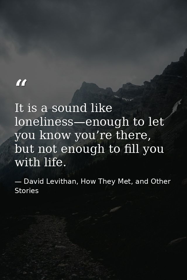 It is a sound like loneliness—enough to let you know you’re there, but not enough to fill you with life. — David Levithan, How They Met, and Other Stories