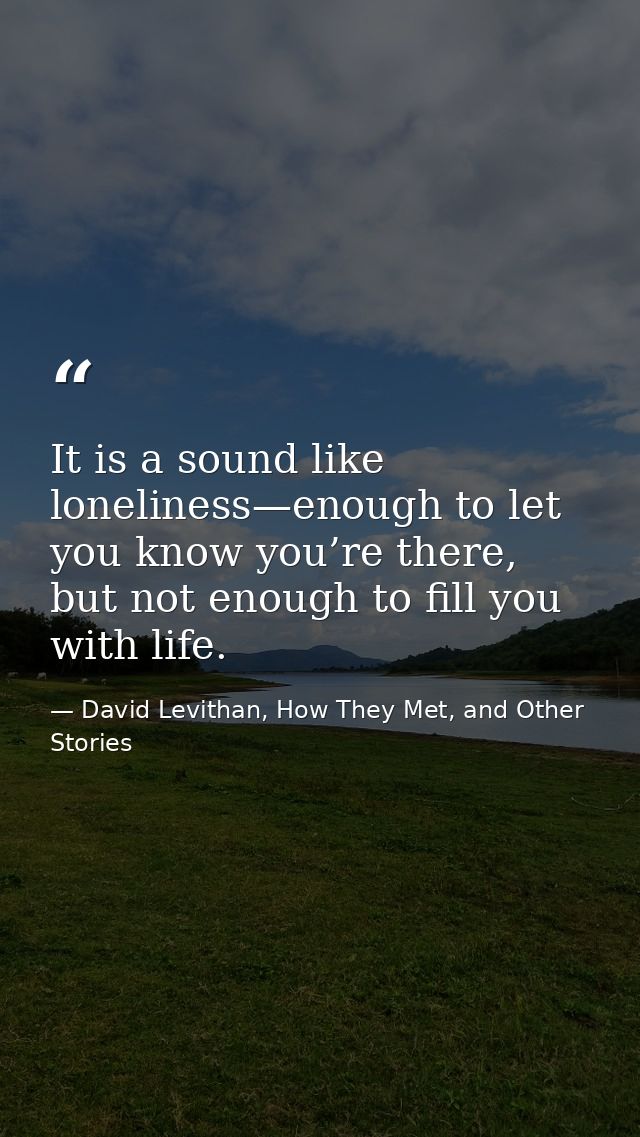 It is a sound like loneliness—enough to let you know you’re there, but not enough to fill you with life. — David Levithan, How They Met, and Other Stories