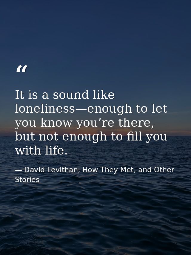 It is a sound like loneliness—enough to let you know you’re there, but not enough to fill you with life. — David Levithan, How They Met, and Other Stories