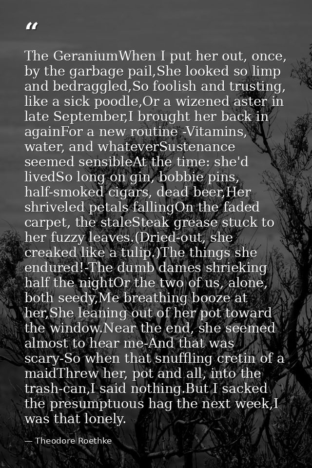The GeraniumWhen I put her out, once, by the garbage pail,She looked so limp and bedraggled,So foolish and trusting, lik — Theodore Roethke