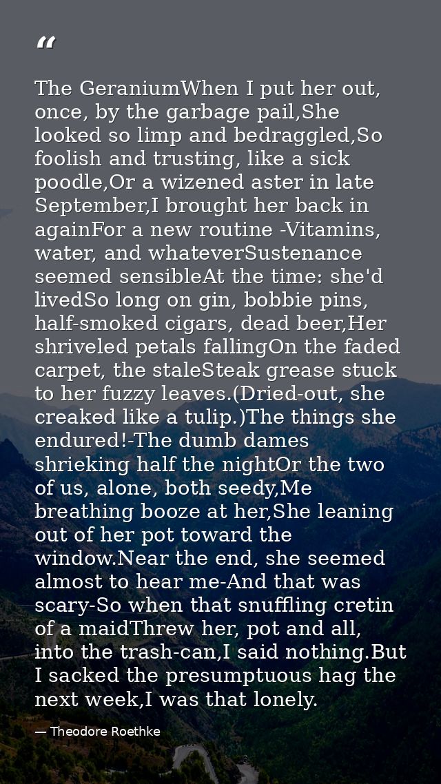 The GeraniumWhen I put her out, once, by the garbage pail,She looked so limp and bedraggled,So foolish and trusting, lik — Theodore Roethke