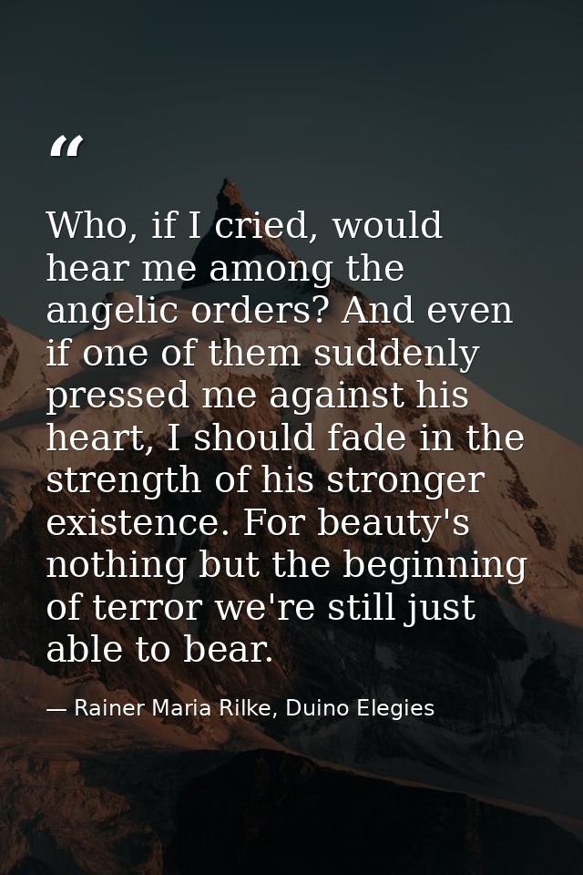 Who, if I cried, would hear me among the angelic orders? And even if one of them suddenly pressed me against his heart,  — Rainer Maria Rilke, Duino Elegies