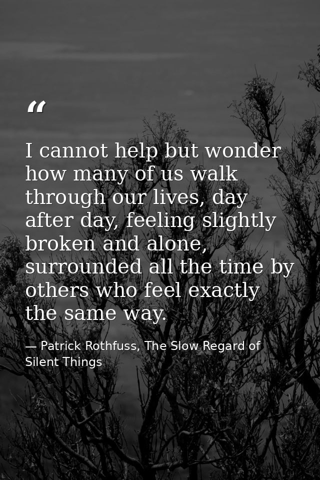 I cannot help but wonder how many of us walk through our lives, day after day, feeling slightly broken and alone, surrou — Patrick Rothfuss, The Slow Regard of Silent Things