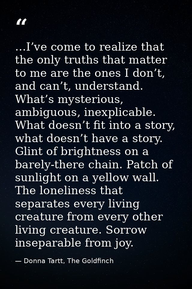 …I’ve come to realize that the only truths that matter to me are the ones I don’t, and can’t, understand. What’s mysteri — Donna Tartt, The Goldfinch