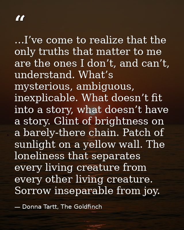 …I’ve come to realize that the only truths that matter to me are the ones I don’t, and can’t, understand. What’s mysteri — Donna Tartt, The Goldfinch