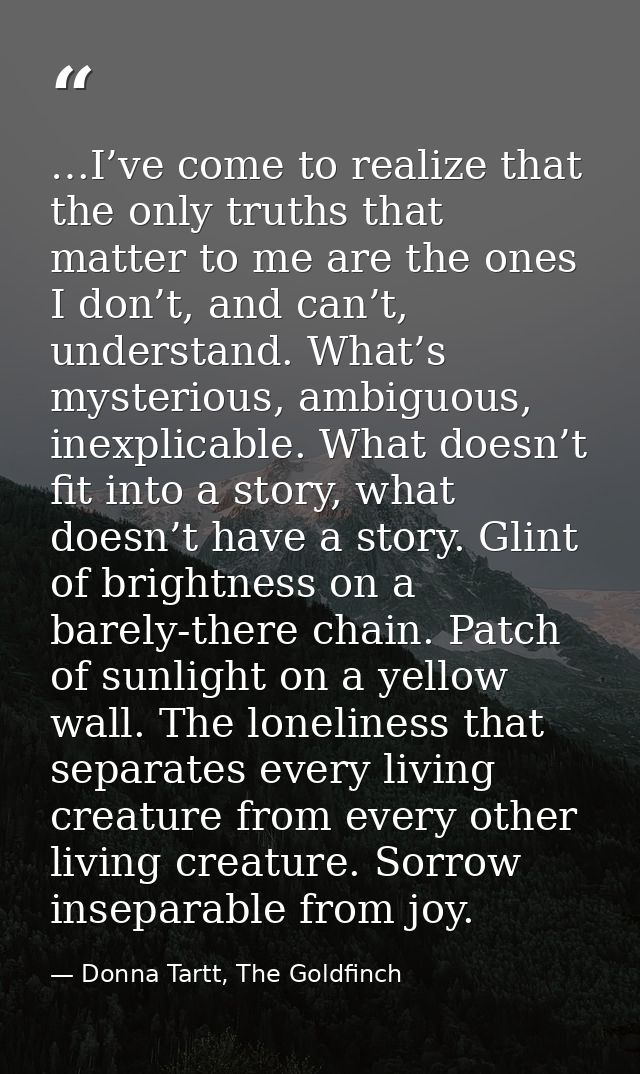 …I’ve come to realize that the only truths that matter to me are the ones I don’t, and can’t, understand. What’s mysteri — Donna Tartt, The Goldfinch