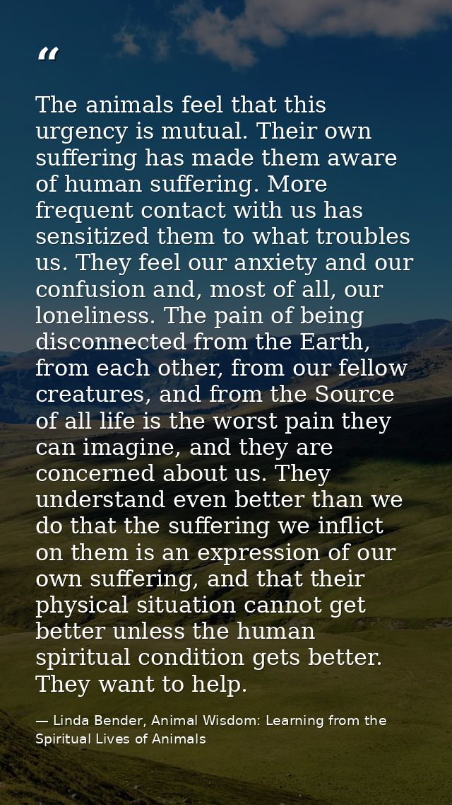 The animals feel that this urgency is mutual. Their own suffering has made them aware of human suffering. More frequent  — Linda Bender, Animal Wisdom: Learning from the Spiritual Lives of Animals