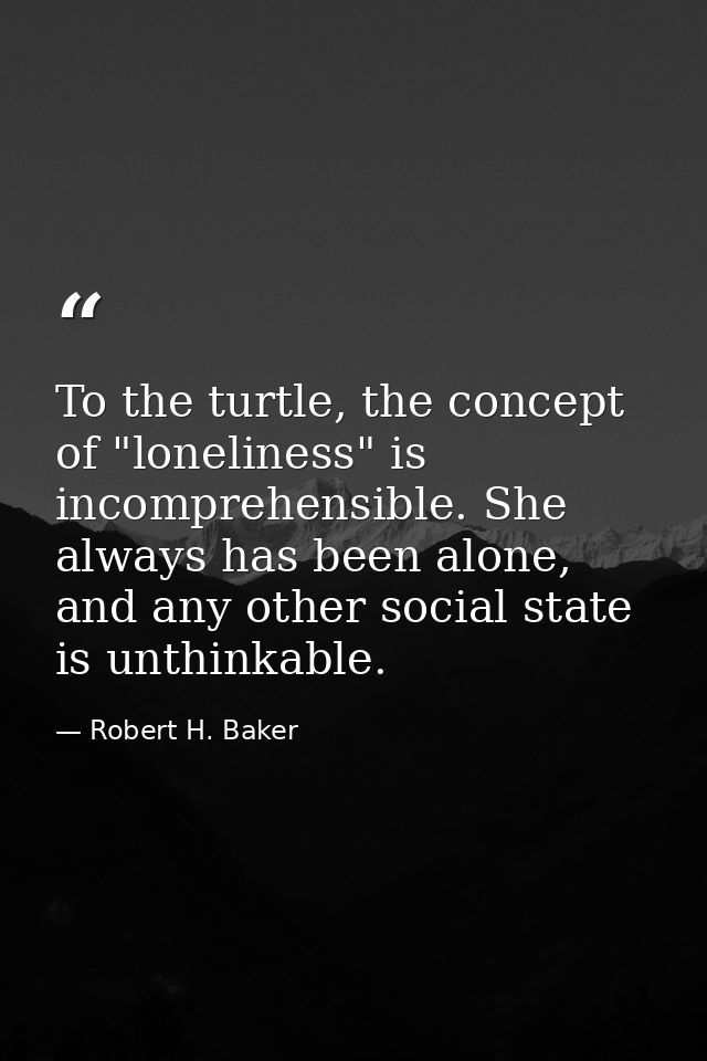 To the turtle, the concept of "loneliness" is incomprehensible. She always has been alone, and any other social state is — Robert H. Baker