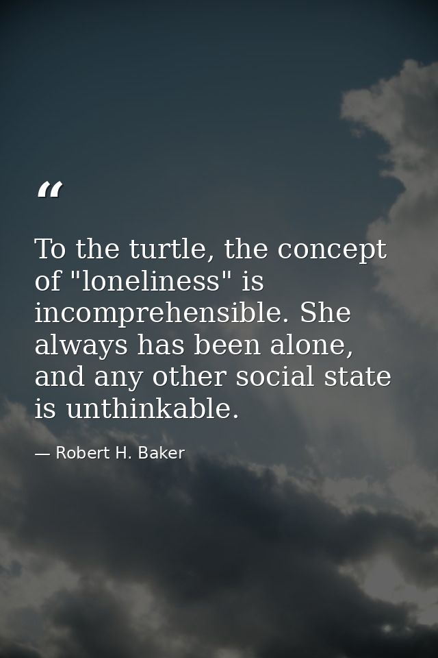 To the turtle, the concept of "loneliness" is incomprehensible. She always has been alone, and any other social state is — Robert H. Baker