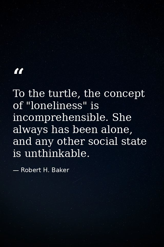 To the turtle, the concept of "loneliness" is incomprehensible. She always has been alone, and any other social state is — Robert H. Baker
