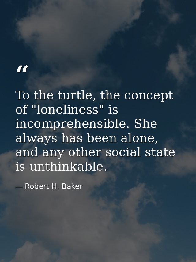 To the turtle, the concept of "loneliness" is incomprehensible. She always has been alone, and any other social state is — Robert H. Baker