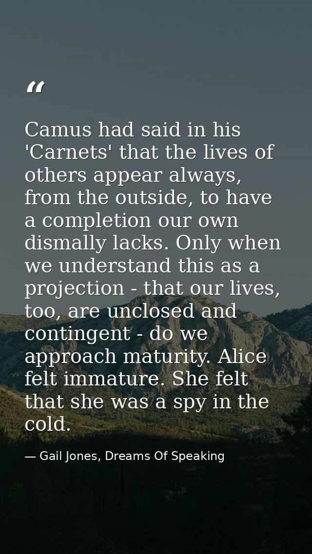 Camus had said in his 'Carnets' that the lives of others appear always, from the outside, to have a completion our own d — Gail Jones, Dreams Of Speaking