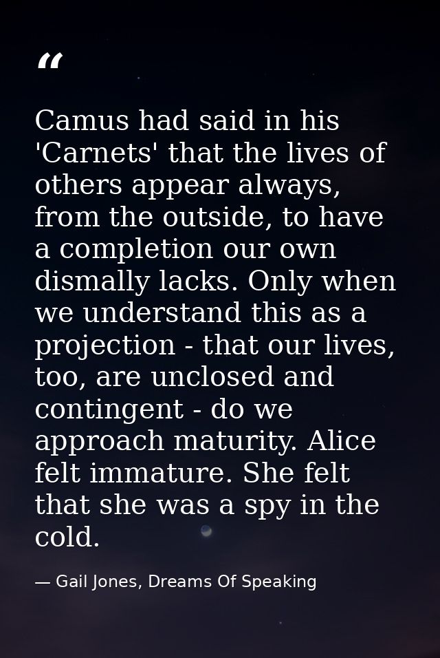 Camus had said in his 'Carnets' that the lives of others appear always, from the outside, to have a completion our own d — Gail Jones, Dreams Of Speaking