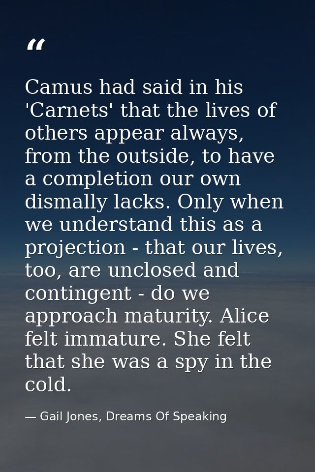 Camus had said in his 'Carnets' that the lives of others appear always, from the outside, to have a completion our own d — Gail Jones, Dreams Of Speaking