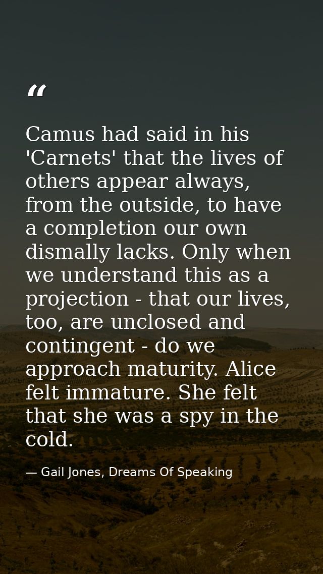 Camus had said in his 'Carnets' that the lives of others appear always, from the outside, to have a completion our own d — Gail Jones, Dreams Of Speaking