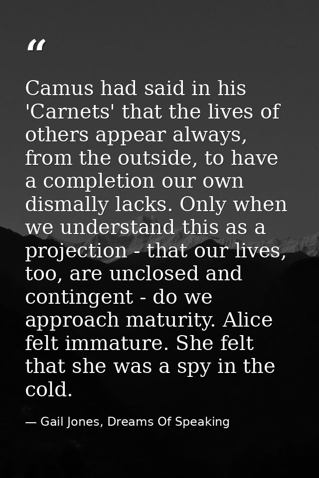Camus had said in his 'Carnets' that the lives of others appear always, from the outside, to have a completion our own d — Gail Jones, Dreams Of Speaking