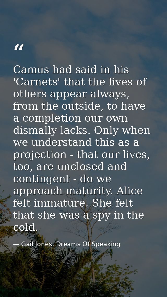 Camus had said in his 'Carnets' that the lives of others appear always, from the outside, to have a completion our own d — Gail Jones, Dreams Of Speaking