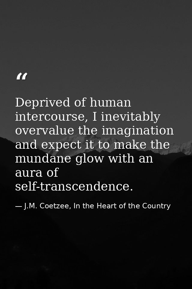 Deprived of human intercourse, I inevitably overvalue the imagination and expect it to make the mundane glow with an aur — J.M. Coetzee, In the Heart of the Country