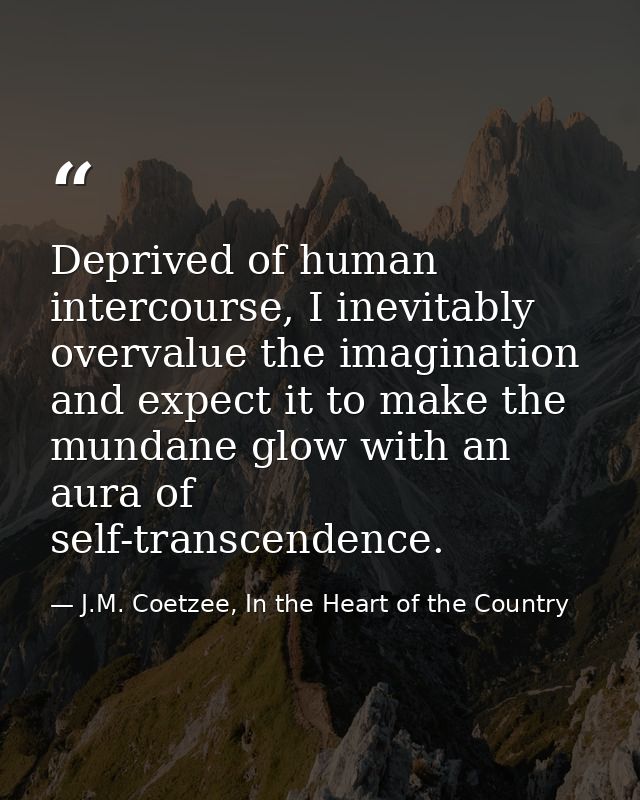 Deprived of human intercourse, I inevitably overvalue the imagination and expect it to make the mundane glow with an aur — J.M. Coetzee, In the Heart of the Country
